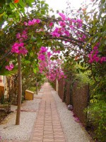 /album/paradis-2-une-residence-de-saly/allee-jpg/