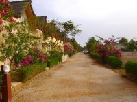 /album/paradis-2-une-residence-de-saly/contrallee-jpg/